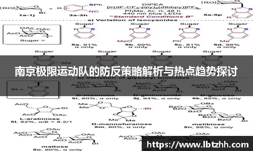 南京极限运动队的防反策略解析与热点趋势探讨
