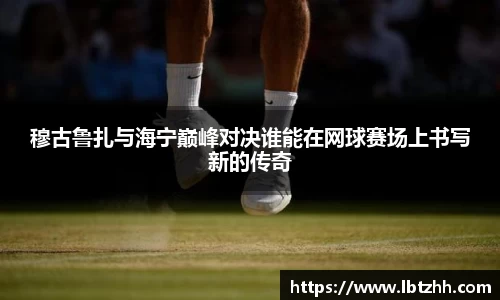 南宫31